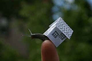 Shrink Responsibly: A Practical Guide to Degrowth