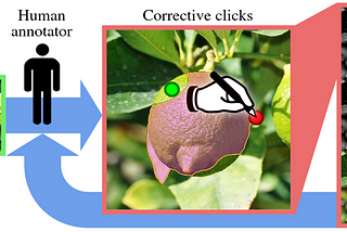 Interactive Segmentation