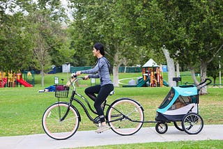 Bring your furry friend along for the ride with Petique’s Trailblazer Pet Jogger Stroller