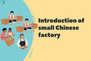 Introduction of Small Chinese Factories