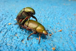 I Never Thought I’d Say This About Married Sex