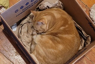 Epstein Files, Civil Commitment Executive Order Remind Us Why Process and Compassion are Due to All…