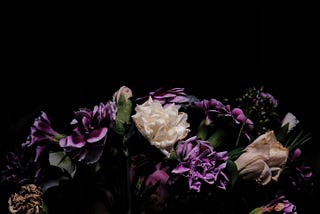 White and Purple Carnations