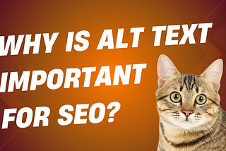 How Does Alt Text Impact SEO?