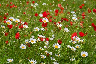 I Just Realized the Saddest Thing About AI