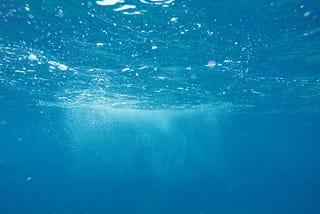 A Lyrical Ecofeminist Tale: Book Review of Sonali Prasad’s “Glass Bottom”
