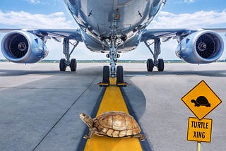 Turtle strolling across airport runway halts 5 flights in Japan