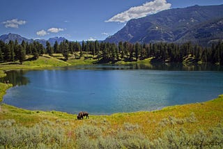 All Day Hikes in Yellowstone
