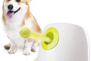 all-for-paws-automatic-ball-thrower-for-dogs-interactive-dog-ball-launcher-machine-fetch-toy-with-6--1