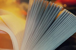 Why I Love Extremely Fat Books
