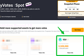 Как проголосовать за $IGU на ByVotes