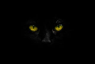 A black cat in a dark room, only the eyes clearly visible.