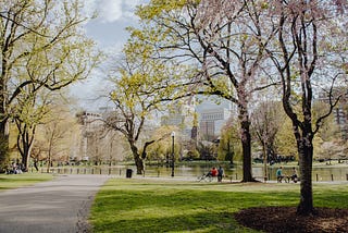 Park Reflections