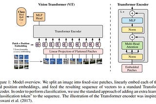 Vision Transformers vs. Convolutional Neural Networks