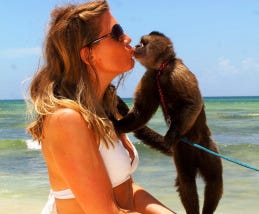 Journalism in search of a cute little monkey