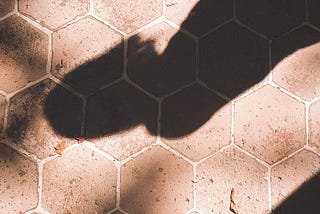 A shadow of a person on terracota tiles