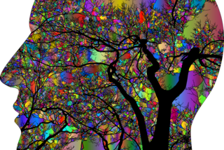 Do Psychedelic Drugs Improve Health?