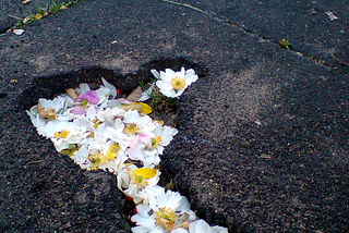 Planting trees or flowers in potholes offers powerful symbolism