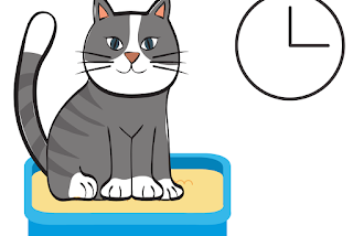 5 BEHAVIOUR CHANGES IN A SICK CAT