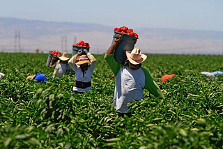 The Impact of COVID-19 on Farmworkers