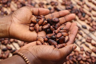 Agriculture Has Been Traumatic For Black People For Too Long.