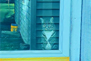 Stylized picture of cat at glass door, looking out at the sunny back yard.