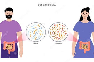 Role of Gut Microbiome in Maintaining a Healthy Body Weight.