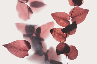 Changeling