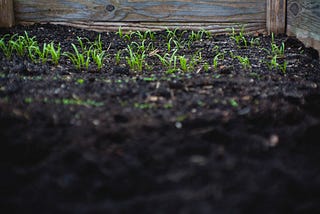 SOIL PROFILE — AGRICULTURE OPTIONAL