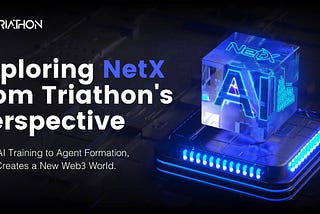 Exploring NetX from Triathon’s Perspective
