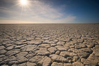 Flat, dry, parched earth under a bright sun.