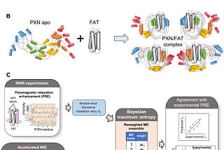 How Tiny Parts of Cells Stay Organized: New Insights Unlocking Cancer Growth Blockade
