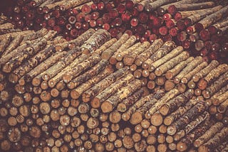 Explore the Go slog Standard Library: Design and Usage