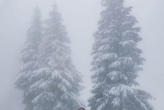 Driving Into A Snowstorm May Not Have Been The Wisest Choice