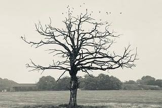 The Second Death