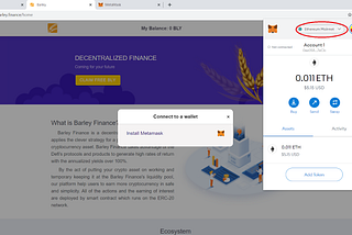 Guidelines on how to Claim BLY token via Metamask on Chrome