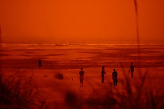 The picture that shows a view through a bush of a remote place with reddish atmosphere and a few people walking on sand.