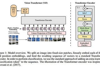 Vision Transformers, Is it a worthy successor to CNNs?