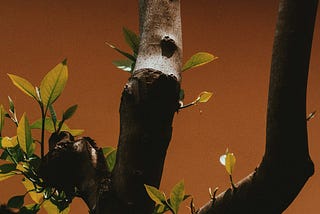 25th May 1997