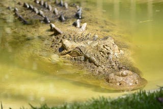 An Outlaw Biker Admitted To Slaying A Teenager And Feeding Her Body To Alligators