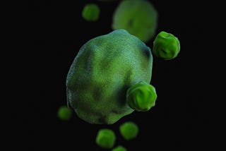 green colored bacteria