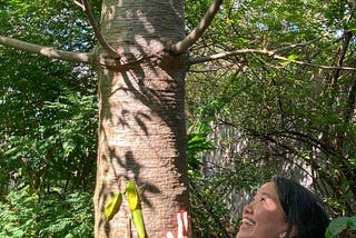A food forest in Bacolod