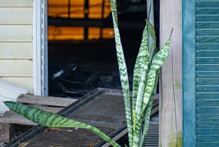 Renovation Regrets