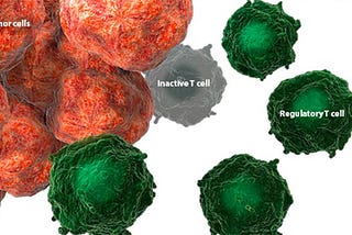 Breaking the Tumor-Immune Regulatory Nexus