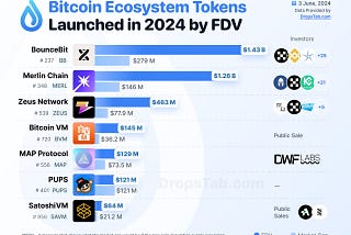 Bitcoin Ecosystem Tokens Launched in 2024 by FDV