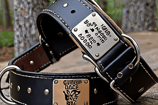 Service-Dog-Collar-1