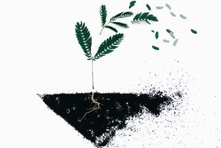 How I Changed My Life — Without Burning It All Down