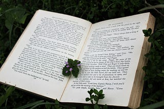 An open book with green leaves surrounding it