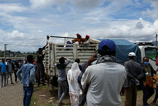 Covid-19 takes heavy toll on Ethiopia’s poultry sector