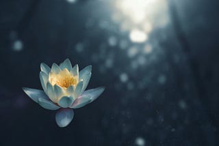 How to Experience the Power of Flow State Meditation?